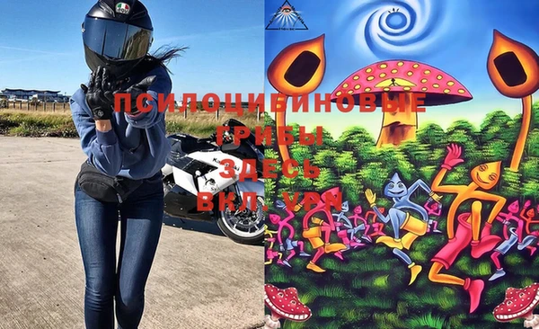 не бодяженный Абаза