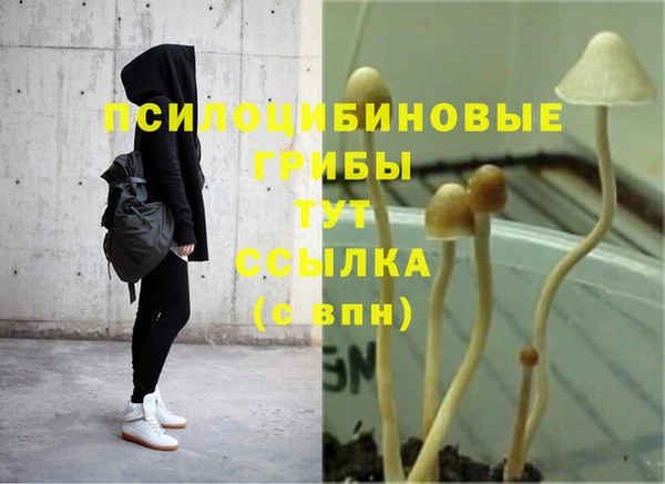 винт Абинск