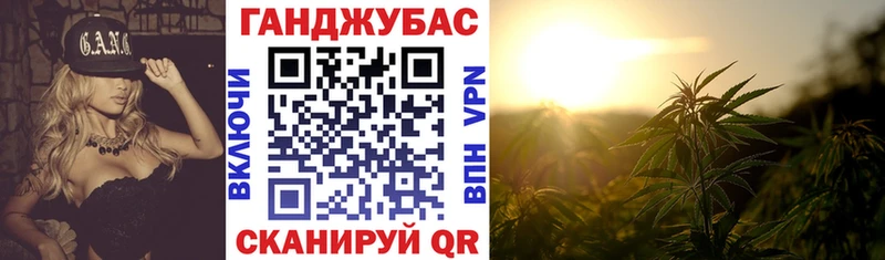сколько стоит Ачхой-Мартан ОМГ ОМГ вход МАРИХУАНА планчик